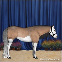 Horse Color:Brown Dun Splash Rabicano 
