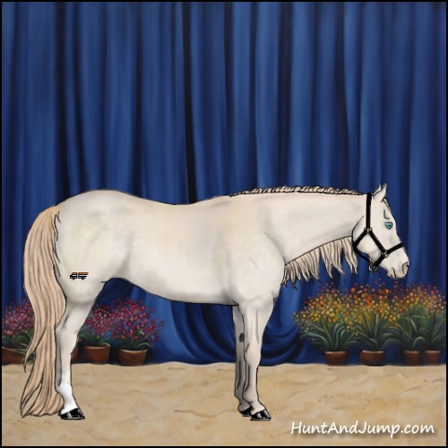Horse Color:Perlino Sabino