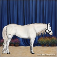 Horse Color:Perlino Dun Sabino Splash 