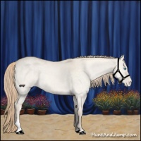 Horse Color:Perlino Dun Varnish 