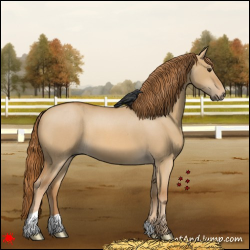 Horse Color:Red Dun Roan