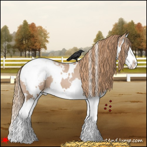 Horse Color:White Spotted Black Pearl Splash Snowcap 