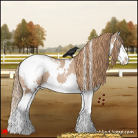 Horse Color:White Spotted Black Pearl Splash Snowcap