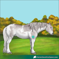 Horse Color:Chocolate Silver Brown Chinchilla Dun Tobiano 