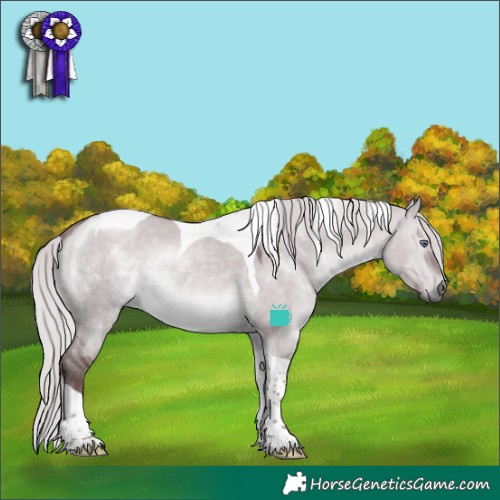 Horse Color:Chocolate Silver Brown Chinchilla Dun Tobiano