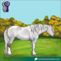 Horse Color:Chocolate Silver Brown Chinchilla Dun Tobiano 