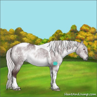 Horse Color:Chocolate Silver Brown Chinchilla Dun Tobiano