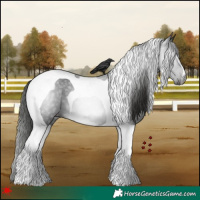 Horse Color:Gray Black Tobiano Varnish 