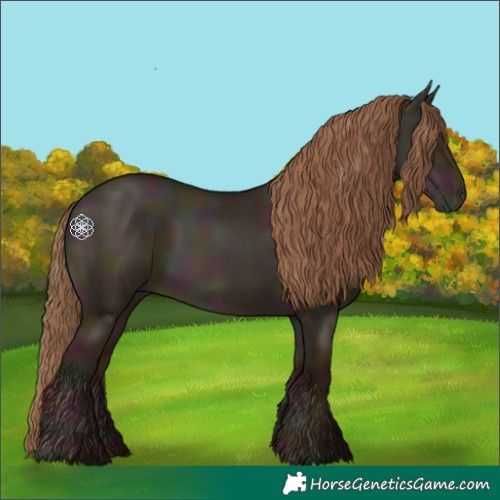 Horse Color:Midnight Grullo Pearl 