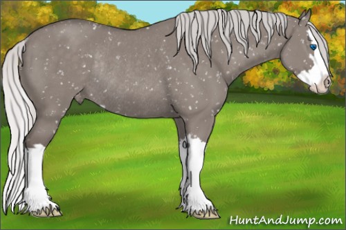 Horse Color:Platinum Silver Grullo Sabino Splash Appaloosa Rabicano 