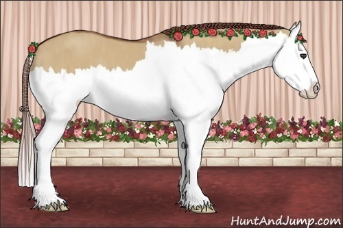 Horse Color:Red Dun Splash  Brindle