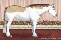 Horse Color:Red Dun Splash  Brindle