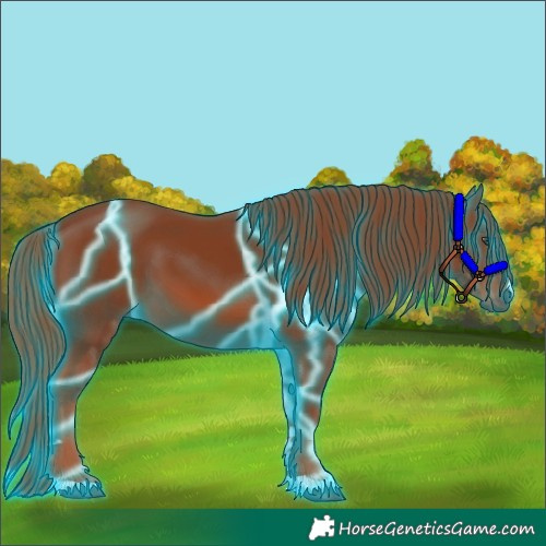 Horse Color:Thunderstruck Chestnut 