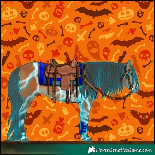 Horse Color:Thunderstruck Bay 