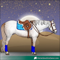 Horse Color:Gray Chestnut 