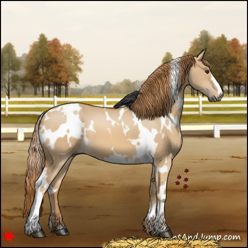 Horse Color:White Spotted Red Dun