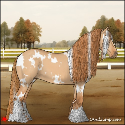Horse Color:White Spotted Red Dun 