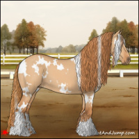 Horse Color:White Spotted Red Dun 