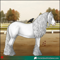 Horse Color:White Spotted Palomino Pearl Appaloosa