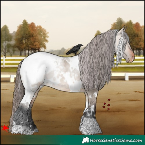 Horse Color:White Spotted Brown Dun Snowcap