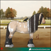 Horse Color:White Spotted Bay Dun