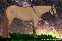 Horse Color:Red Dun Splash  Brindle