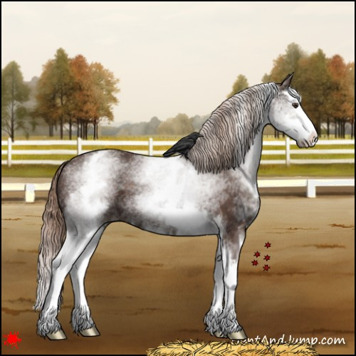 Horse Color:White Spotted Liver Chestnut Splash 