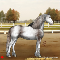 Horse Color:White Spotted Liver Chestnut Splash 
