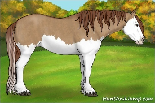 Horse Color:Red Dun Splash  Brindle