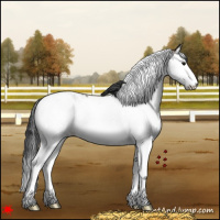 Horse Color:White Spotted Grullo Splash Tobiano 