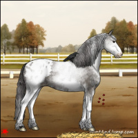 Horse Color:White Spotted Grullo Varnish 