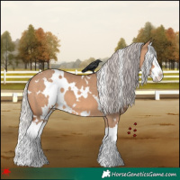 Horse Color:White Spotted Silver Brown Dun Splash 