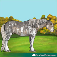 Horse Color:Silver Smoky Black Sabino 