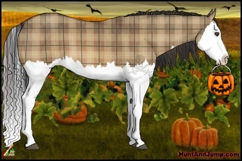 Horse Color:Plaid  Bay Dun Splash  Brindle