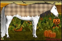 Horse Color:Plaid Bay Dun Splash Brindle
