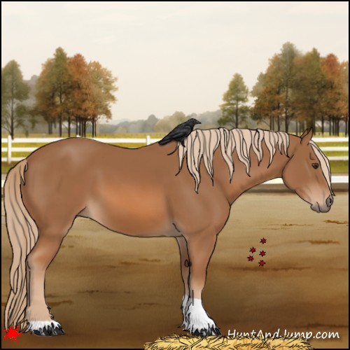 Horse Color:Chestnut Tobiano 