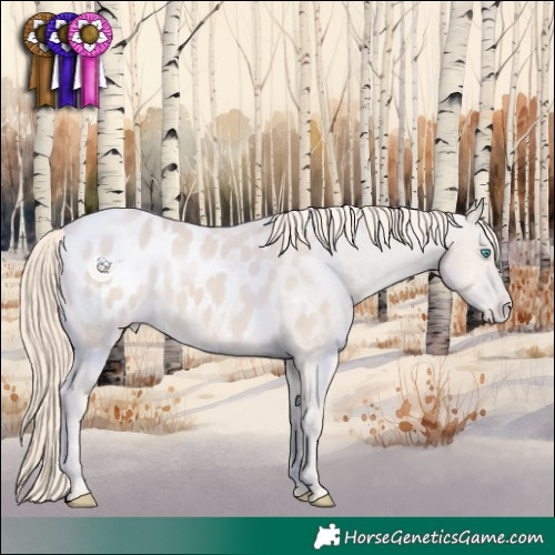 Horse Color:Smoky Creme Appaloosa 