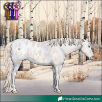 Horse Color:Smoky Creme Appaloosa