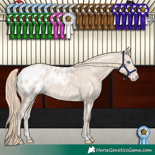 Horse Color:Smoky Creme Blanket 