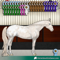 Horse Color:Smoky Creme Appaloosa 