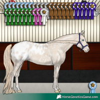 Horse Color:Smoky Creme Blanket 