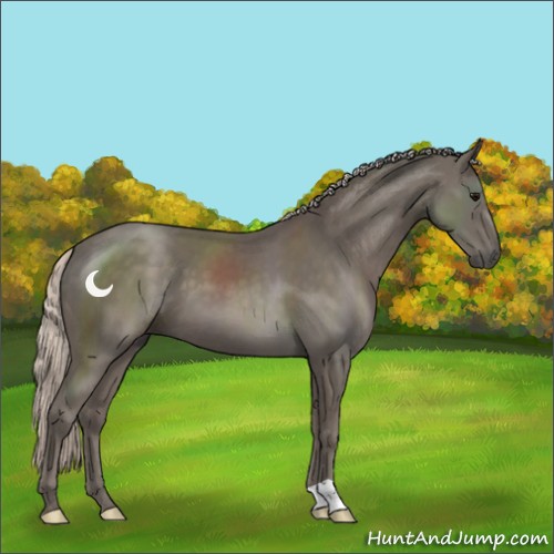 Horse Color:Silver Black 