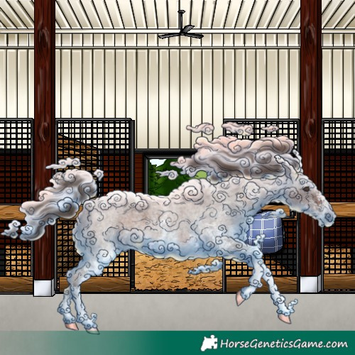 Horse Color:White Spotted Liver Red Roan 