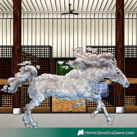 Horse Color:White Spotted Liver Red Roan 