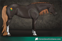 Horse Color:Liver Chestnut Tobiano Rabicano 