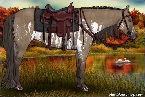 Horse Color:Liver Red Dun Splash  Brindle