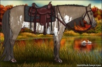 Horse Color:Liver Red Dun Splash  Brindle