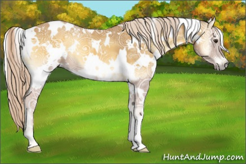 Horse Color:White Spotted Palomino Ice Onyx 