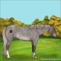 Horse Color:Silver Blue Roan