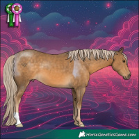 Horse Color:Chocolate Palomino